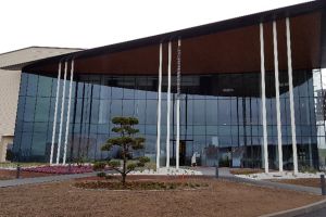 CHAMPAGNE FEUILLATTE – 51 REIMS